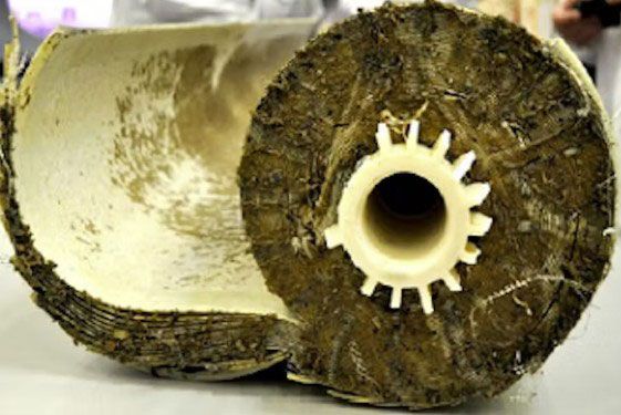 Biologically fouled membrane