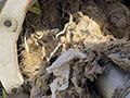 Clogged Wastewater Pump