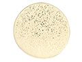 Ecologix MBBR Eco Chips provide a large surface area for microorganism growth.