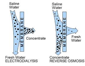 Electrodialysis Membrane Function