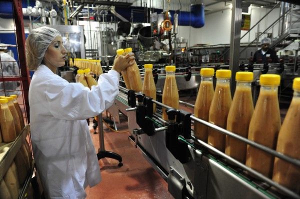 Food and Beverage Factory