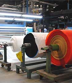 Paper and Pulp Plant