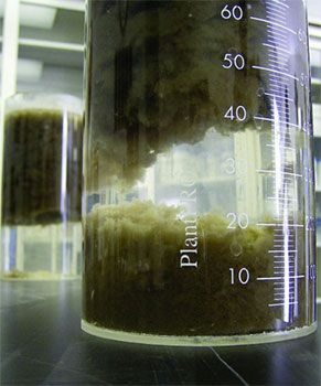 Treatability Studies Lab Testing Jar
