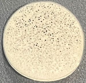 MBBR Carrier Eco Chip Magnified