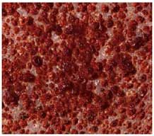 Active biomass growing in the Eco Chip pore system