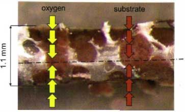 Cross section of an MBBR Eco Chip