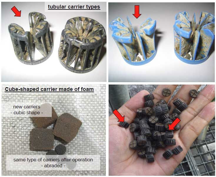 Poorly designed, clogged MBBR Bio Chips