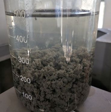 MPSP Sludge Dewatering Results