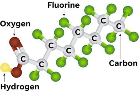 Typical Molecular Structure of PFAS