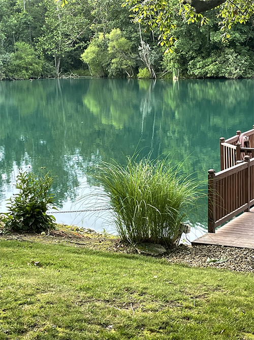 Pond Cleaned Using Lanthanum Chloride for Algae Control