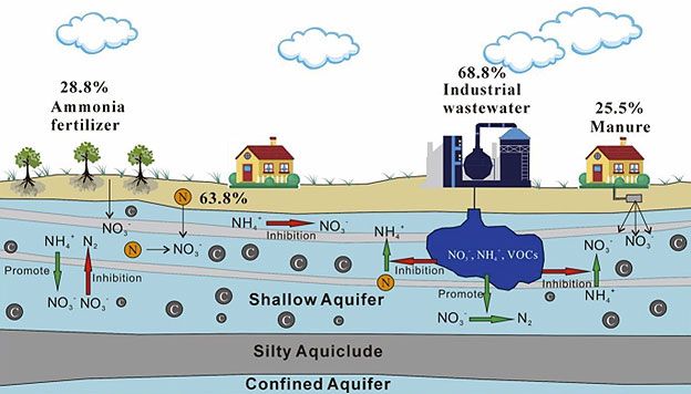 Illustration sourced from www.sciencedirect.com Tracing Nitrate Origins